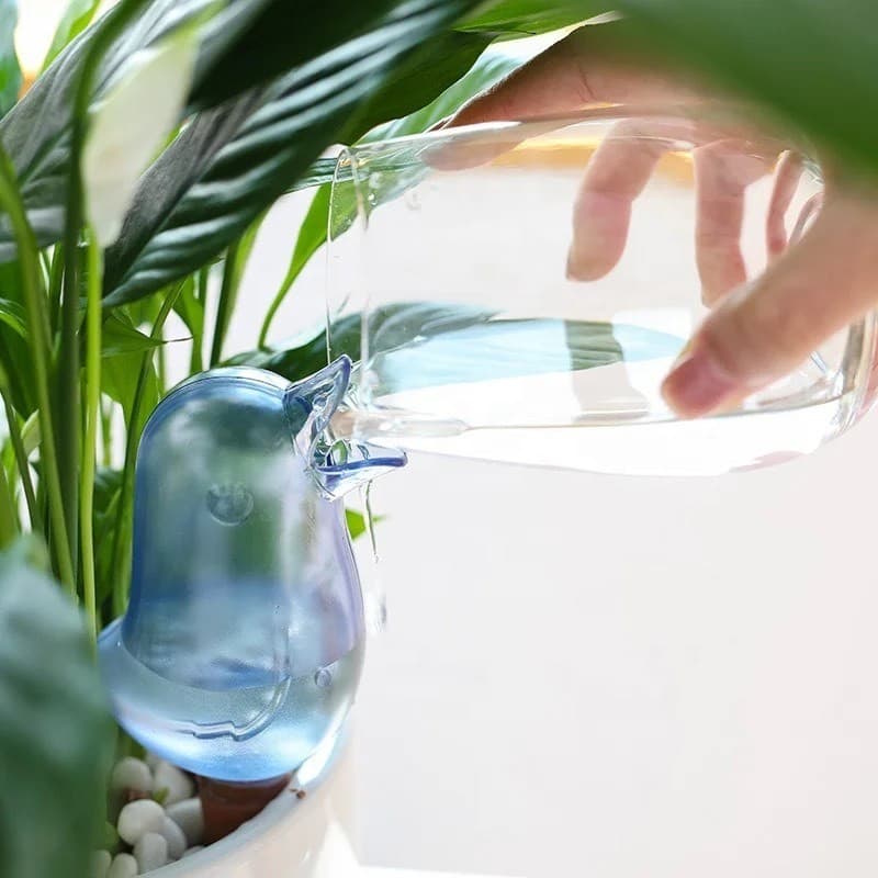 Regador Automático Filtro Gotejador Irrigação Planta Jardim Pássaro