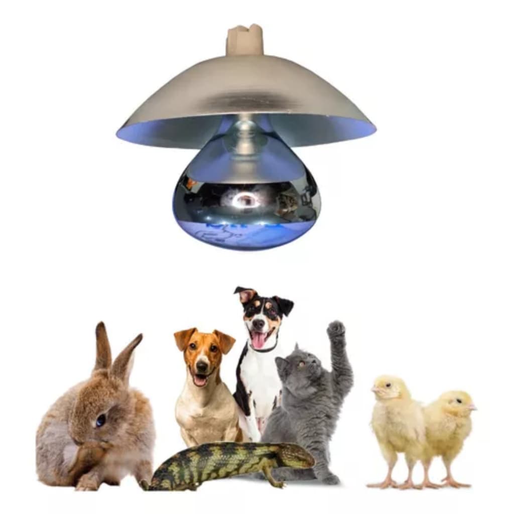 Campânula Aquecedora De Suinos, Aves Pintinhos 250w
