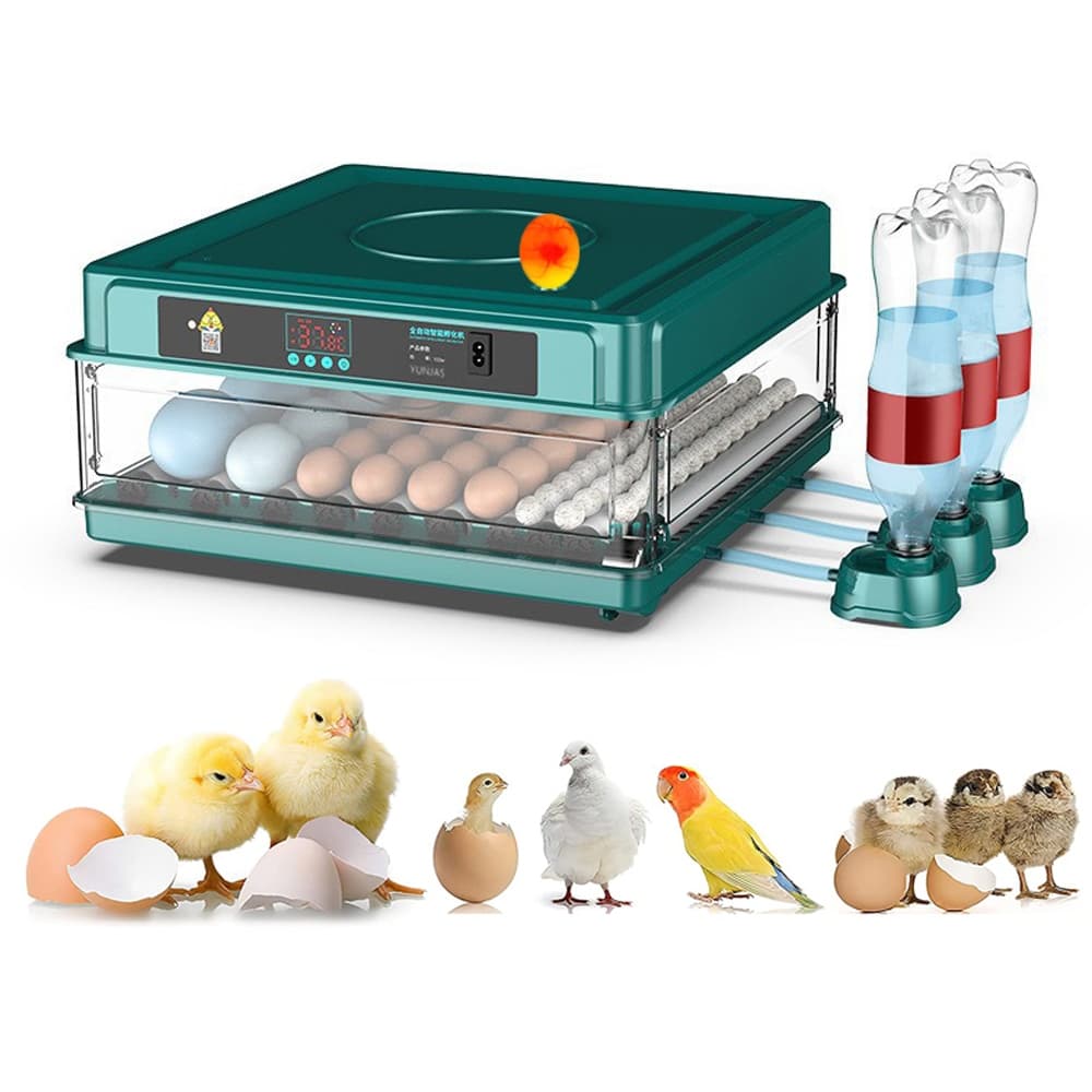 Chocadeira Automática 64 a 72 Ovos 110/220V para Galinha Pato Codorna Incubadora de Ovos
