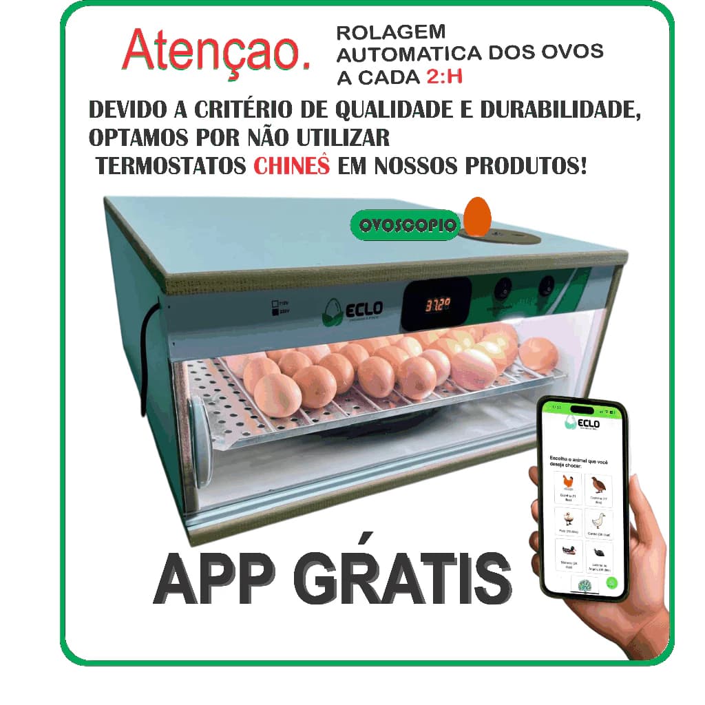 Chocadeira 70 ovos de Galinha Automática com Ovoscopio e iluminação Interna