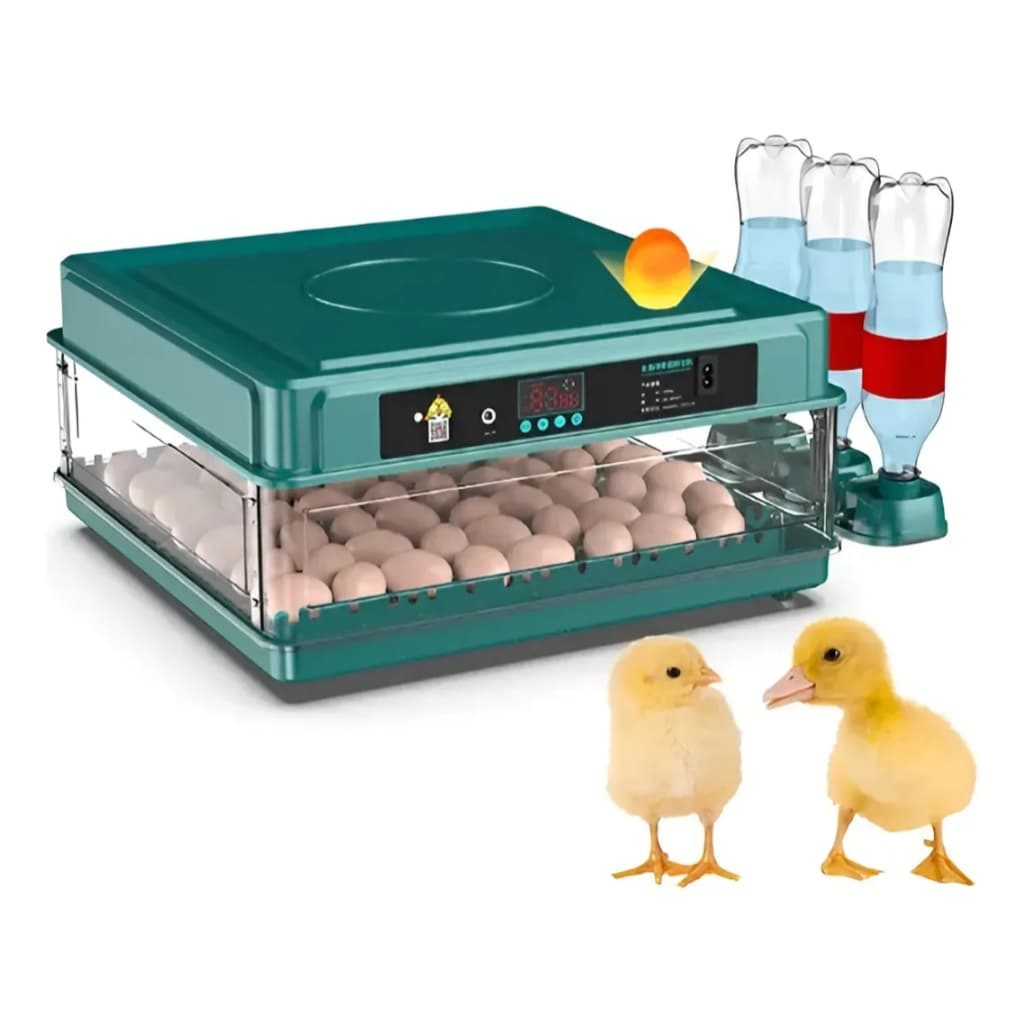 Chocadeira Incubadora 72 Ovos Rotação Automática 110v 220v Painel Digital C/ Entrada para bateria