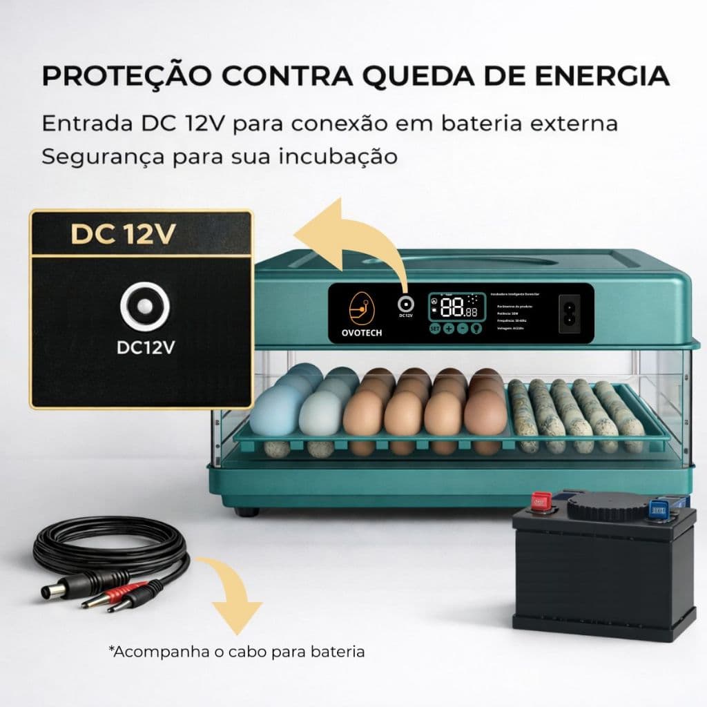 Chocadeira Automática Incubadora 72 Ovos Galinha Ovoscópio Elétrica Digital Viragem Automática