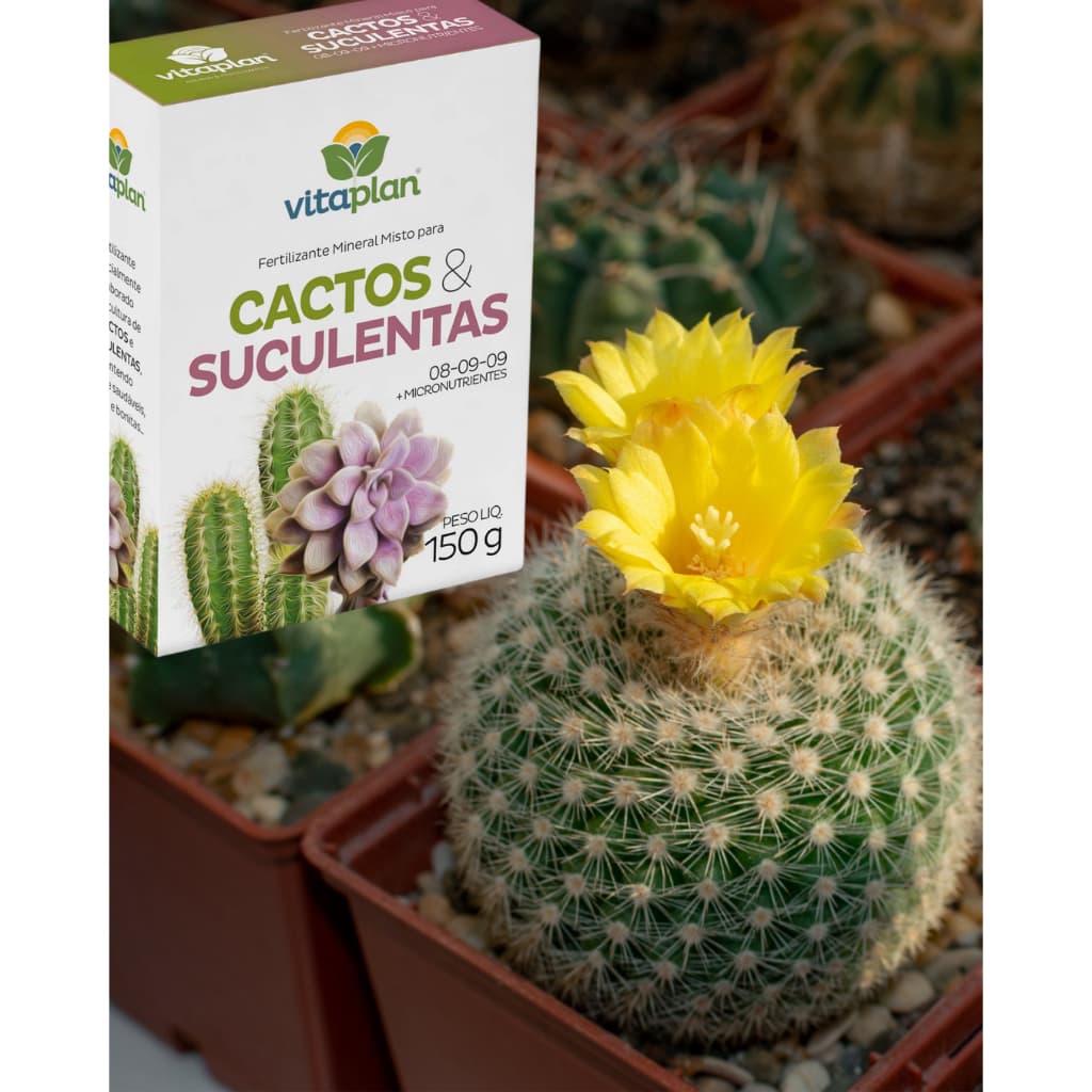 ADUBO FERTILIZANTE PARA CACTOS E SUCULENTAS VITAPLAN 150G. – CRESCIMENTO SAUDÁVEL E NUTRIÇÃO