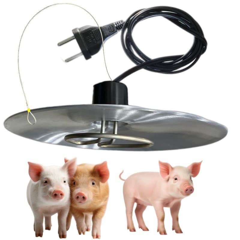 Campanula Aquecedora 400W Inox para Pintinhos e Leitões – Alta Potência