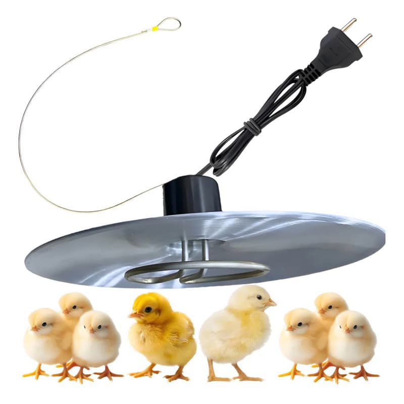 Campânula Aquecedora 250W Inox para Pintinhos, Leitões e Pets – Aquecimento Rápido