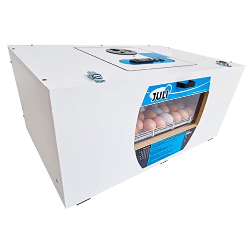 Chocadeira Automática digital Juli 120 Com Ovoscópio (110 V)