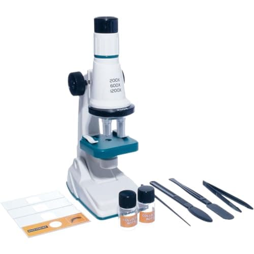 Microscopio 25Cm