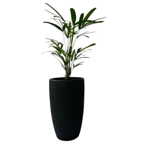 Vaso de Planta Cone Bojo com 44 cm de Altura (Preto)