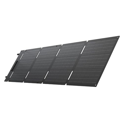 EF ECOFLOW 60W Painel Solar Portátil Célula Solar Tipo N Alta Eficiência Conversão 25% para Estações de Energia, Acampamento, Painel Solares Leve Dobrável e Pendurável, IP68 à Prova d'água