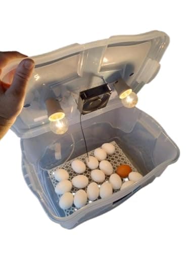 Chocadeira Compacta Com Controle De Temperatura automático capacidade para 30 Ovos de Galinha ou 90 ovos de codorna