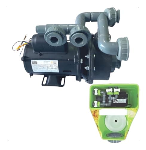 Motobomba De Piscina Igui Modelo Eco System Para 04 Registros 1/2cv Motor Weg Bivolt