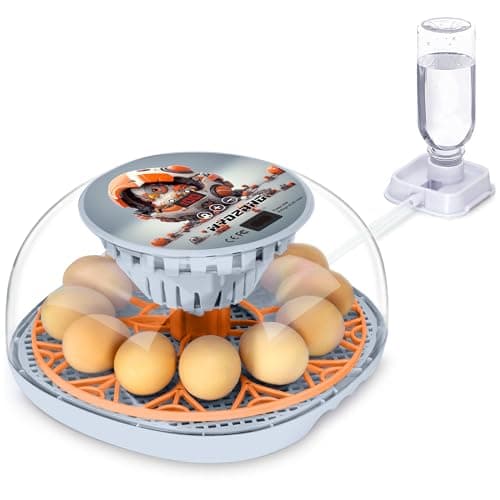 WYD2ANG Incubadoras Inteligentes de Frango para Incubação de Ovos com Virador Automático, Aves Pequenas, Pato, Codorna, 12 Incubadoras de Ovos, Display de Controle de Temperatura, Máquina Incubadora(M