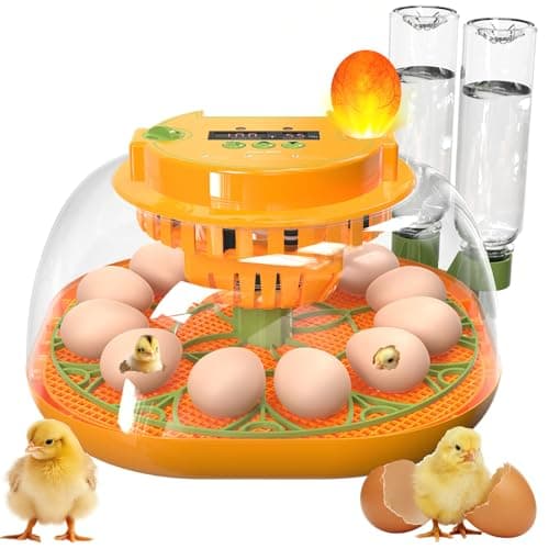 Incubadora de 12 ovos com visor de temperatura e umidade
