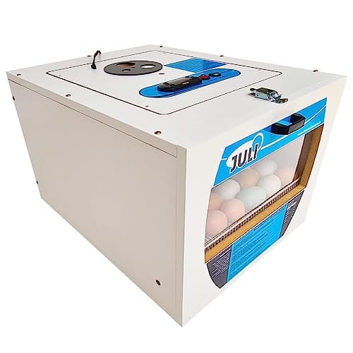 Chocadeira Automática digital Juli 70 Com Ovoscópio (220 V)
