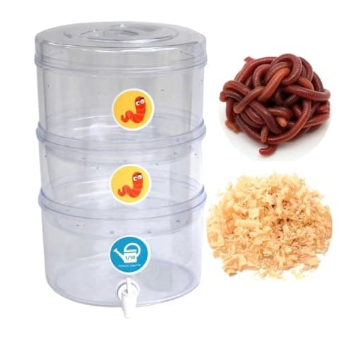 Composteira Ecopedagógica Transparente, 12L, 3 Compartimentos com Minhocas e Serragem, Sistema Educativo de Compostagem, 26,5x37cm
