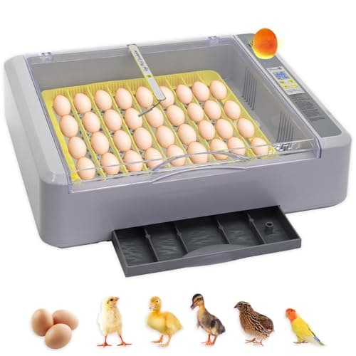 Abustle pig Incubadora Automática de Ovos, Virador Automático de Ovos com Controle de Temperatura E Umidade, Ovoscópio, Visão de 360°, Capacidade para 36 Ovos.