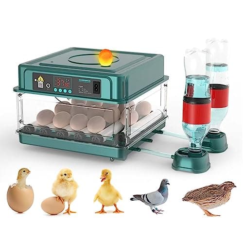 APlayfulBee Incubadora Automática de Ovos 12-38 Ovos Máquina de Chocadeira Digital para Aves com Viragem Automática de Ovos, Controle de Temperatura E Umidade, Iluminação Led Eficiente para Galinhas,