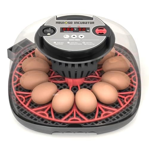Meuiosd Incubadora para 12 A 24 Ovos com Indicador de Umidade, Ovoscópio, Virador Automático de Ovos, para Chocar Ovos de Galinhas, Patos, Codornas E Papagaios.