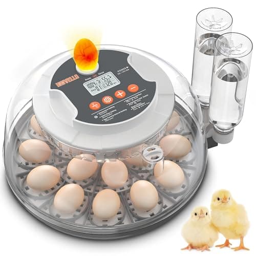Innvello Incubadora Automática para 18 Ovos, Ideal para Chocar Ovos de Galinha. Possui Viragem Automática Dos Ovos, Controle de Umidade E Temperatura, Contador de Dias de Eclosão, Ovoscópio, 2