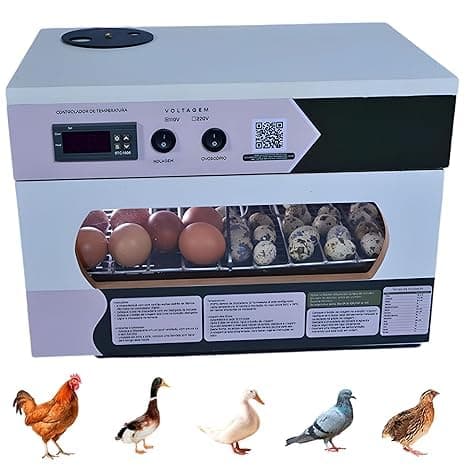 Chocadeira Automática 35 a 45 Ovos, Incubadora Digital com Ovoscópio, Controle por APP, para Galinha e Codorna (220, Volts)