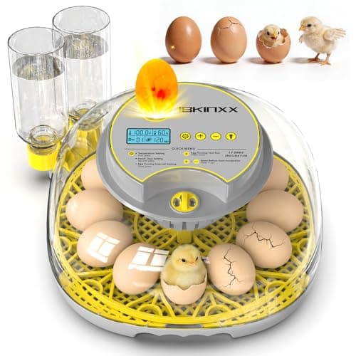 IBKINXX Incubadora para ovos para incubação - capacidade de 12 ovos, virador automático de ovos 2026, controle de temperatura e umidade, visualização de 360° para ovos de galinha, pato e codorna