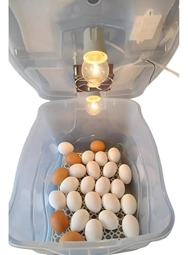 Chocadeira Pet Com 2 Lâmpadas Incandescente Para 30 Ovos Com Termostato e Cooler