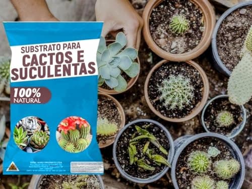 Substrato para Cactos e Suculentas 100% Natural 4kgs