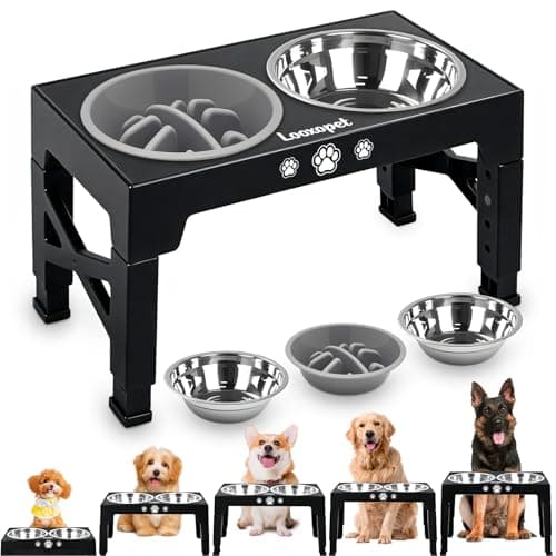 Comedouro Elevado para Cães Gatos Pet inox com Lento Cor Preto