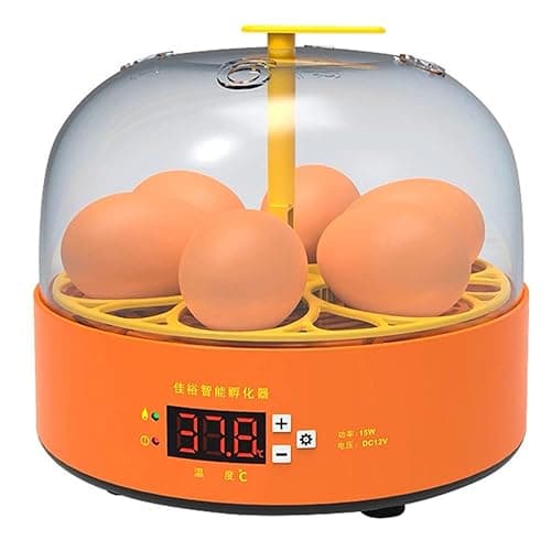 Mini Chocadeira Incubadora Lorben Semi Automática Ovos Galinha Pato