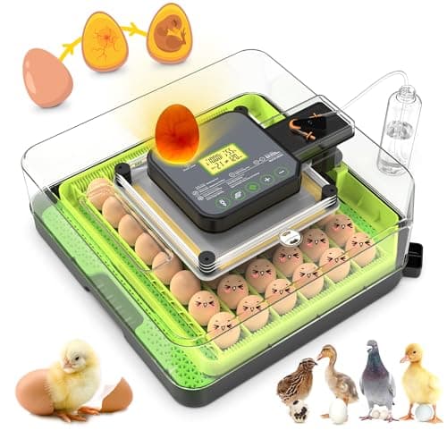 Innvello Incubadora para 48 Ovos com Viragem Automática, Controle de Temperatura E Umidade, Janela de Visualização de 360° E Ovoscópio, Ideal para Ovos de Galinha, Pato E Codorna.
