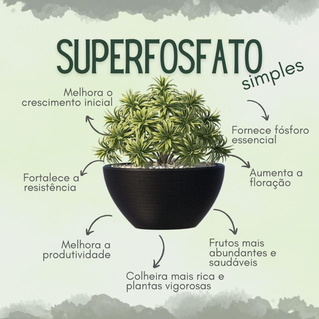 Fertilizante Premium Superfosfato Simples CPC Garden 1 Kg
